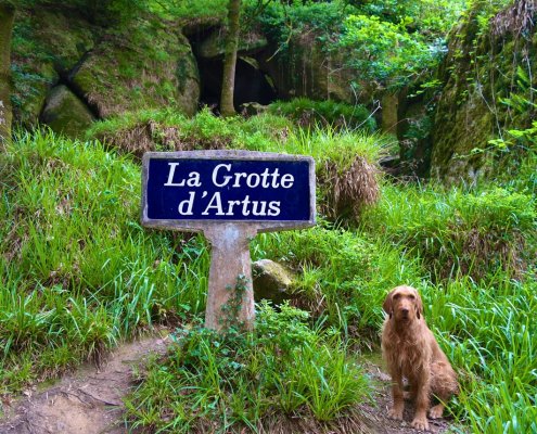 Yeti hat die Artus-Grotte entdeckt ©tierisch-in-fahrt.de
