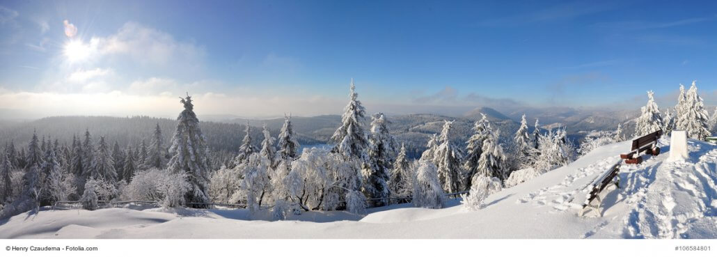 Zeigt verschneite Bäume