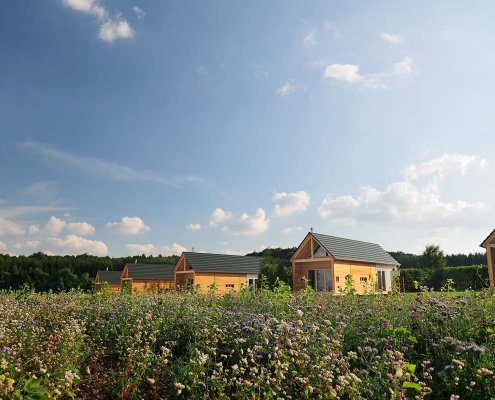 zeigt Holz Chalets im Hainich