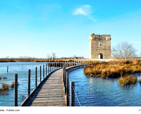 Petite Camargue ©Datei: #197604142 | Urheber: Albachiaraa