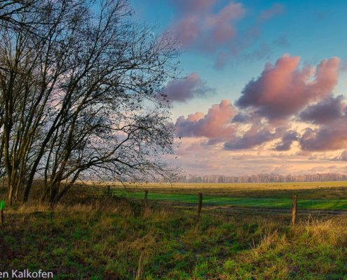 Wolken, Abendrot, freies Feld und Baum